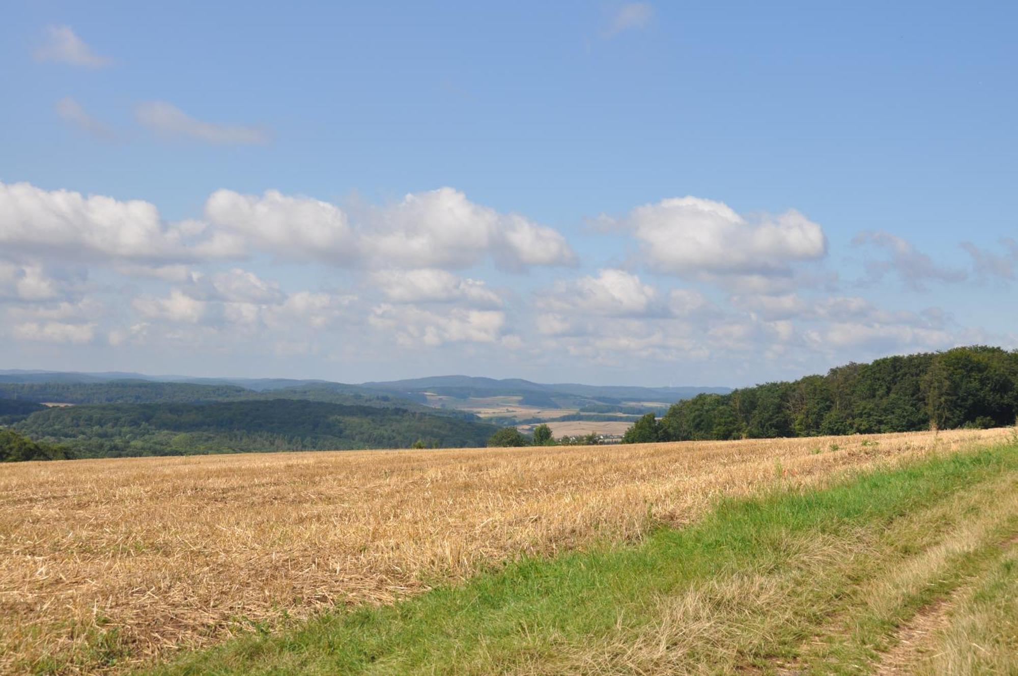 2-zimmer Mit Terrasse, Fernblick, Natur, Ruhig - Appartamento Marburg
